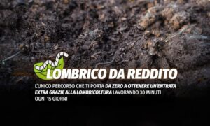 Download Rendita Agricola