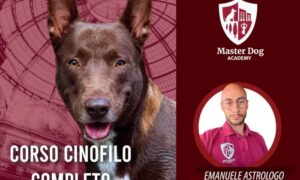 Download Corso Cinofilo Completo – Master Dog