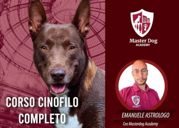 Download Corso Cinofilo Completo – Master Dog