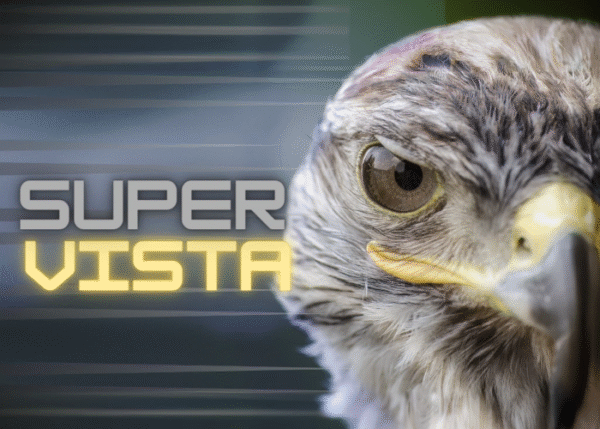 Download super vista – missione benessere (ldl)